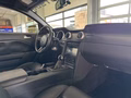 Daumennagel 13 - Ford Mustang Shelby GT 500 SVT