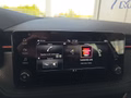 Daumennagel 31 - Skoda Kamiq Monte Carlo 1,5TSI DSG AHK/Matrix/el.Klappe         **