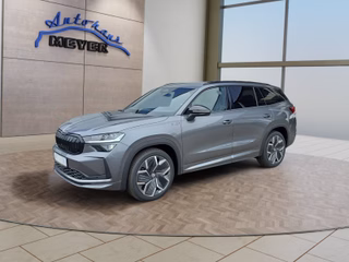 Skoda Kodiaq age.one-day registration Kaufen