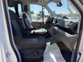 Daumennagel 43 - Volkswagen Crafter 50 Bus 17-Sitzer + 5 Stehplätze