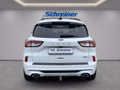 Daumennagel 4 - Ford Kuga Plug-In Hybrid ST-Line X