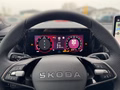 Daumennagel 8 - Skoda Kodiaq 2.0 TDI 142 kW 4x4 Sportline
