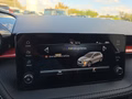 Daumennagel 37 - Skoda Fabia Monte Carlo 1,0TSI DSG 5*J.Gar/LED/Winterp/Temp. **