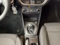 Daumennagel 11 - Ford Fiesta 1.0 EcoBoost S&S TITANIUM Winter-Paket