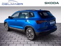 Daumennagel 4 - Skoda Karoq Balance