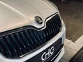 Daumennagel 11 - Skoda Octavia Elegance 1.8 TSI CANTON|4xSHZ|PDC|MFL|TEMPOMAT