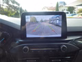 Daumennagel 19 - Ford Focus Turnier ST-Line