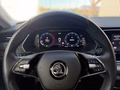 Daumennagel 8 - Skoda Octavia Combi Scout 4x4 2.0 TDI DSG AHK ACC Columbus Ergo-Sitze