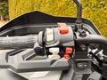 Daumennagel 9 - Segway Snarler 1000 AT10 DLX ABS T-Box, Heizung