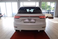 Daumennagel 7 - Porsche Cayenne E-Hybrid Platinum Edition