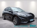 Daumennagel 2 - Ford Kuga 2.5 Duratec PHEV ST-LINE AHK NAVI Toter-Wi