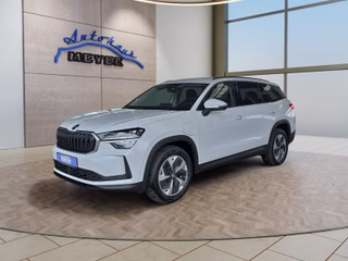 Skoda Kodiaq age.one-day registration Kaufen