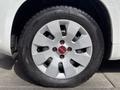 Thumbnail 7 - Fiat Panda 1.2 Pop/34TKM/I.HAND/ALLWETTER/TÜV-NEU/