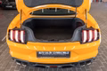 Daumennagel 45 - Ford Mustang Mach 1 5.0 V8|LEDER|B&O|19-ZOLL|NAVI