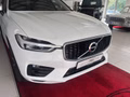 Daumennagel 9 - Volvo XC60 R Design 2WD AHK/KAMERA