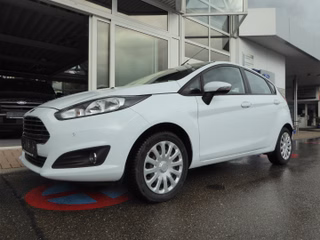 Ford Fiesta Gebrauchtwagen Kaufen