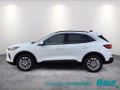 Daumennagel 3 - Ford Kuga 2.5 Duratec PHEV TITANIUM AHK Head-Up LED