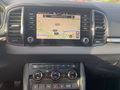 Daumennagel 9 - Skoda Karoq 2.0 TDI Tour Matrix, Kessy, Panorama
