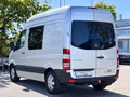 Daumennagel 12 - Mercedes-Benz Sprinter II Kasten 319 CDI TÜV 09/27 Bi-Xenon AHK Navi Klima