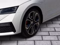 Daumennagel 6 - Skoda Octavia Combi RS Plus 4x4 ACC AHK Standheizung