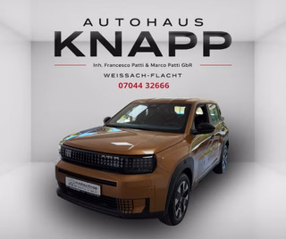 Fiat Grande Panda Gebrauchtwagen Kaufen