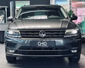 Daumennagel 2 - Volkswagen Tiguan Highline BMT/Start-Stopp 4Motion NAVI|360 |ACC|SPUR|SHZ|