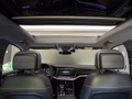Daumennagel 23 - Volkswagen Touareg 4.0 TDI V8 R-Line 4M, LAST EDITION BLACK