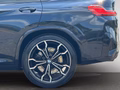 Daumennagel 11 - BMW X4 M Competition NAVI/LED/LEDER/HUD/PANO/RFK