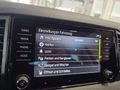 Daumennagel 38 - Skoda Karoq 1,5TSI DSG 4*J.Gar/aAHK/Kamera/Kessy/Winterp.  **