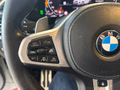 Daumennagel 19 - BMW X6 M50 i*M Sport*Standheizung*AHK