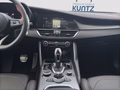 Daumennagel 17 - Alfa Romeo Giulia Intensa 2.0T Q4