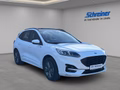 Daumennagel 7 - Ford Kuga Plug-In Hybrid ST-Line
