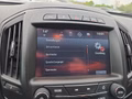 Daumennagel 29 - Opel Insignia 1.6CDTI 8*Alu/Navi/Kamera/Winterp.