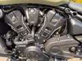 Daumennagel 7 - Indian Scout Bobber Limited + Tech Moss Green | 2026