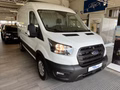 Daumennagel 6 - Ford Transit Kasten 350 L2 Limited