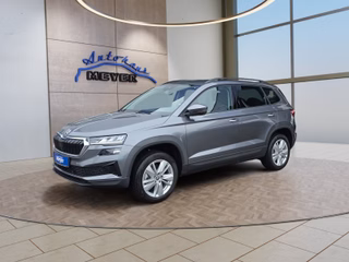 Skoda Karoq age.one-day registration Kaufen