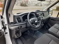 Daumennagel 3 - Ford Transit Kasten 350 L3 Trend