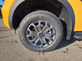 Daumennagel 5 - Ford Ranger 3,0l EcoBlue Doppelkabine Autm. Wildtrak