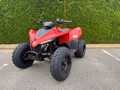Daumennagel 2 - CFMOTO CFORCE 110 *Kinderquad*