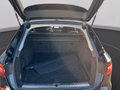 Daumennagel 19 - Audi A4 Avant 35 2.0 TSI Automatik LED+Navi+PDC+SH