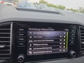 Daumennagel 43 - Skoda Karoq Sportline 1,5TSI DSG aAHK/ACC/Matrix/Navi/el.Klappe   **
