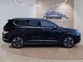 Daumennagel 6 - Hyundai SANTA FE Premium 2.2CRDi 200PS 4WD Vollausstattung!