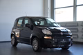 Daumennagel 5 - Fiat Panda Base  NEUFAHRZEUG