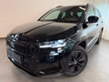 Daumennagel 1 - Skoda Karoq Sportline 1.5 TSI DSG AHK KAMERA MATRIX