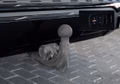 Daumennagel 10 - Audi Q7 50TDI quattro|AUDI-EXCLUSIVE|MEMORY|AHK|PANO
