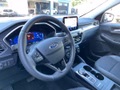 Ford Kuga 2.5 l Duratec Plug-In Hybrid Titanium X Autom. NAVI/B&O/DAB AHK FAHRASSISTENZ/TECHNOLOGIE/WINTER-PAKET el. HECKKLAPPE KLIMAAUTOMATIK - foto 4