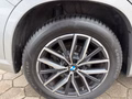 Daumennagel 26 - BMW X1 xDrive 20 d M Sport Alcantara AHK