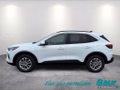 Daumennagel 3 - Ford Kuga 2.5 Duratec PHEV TITANIUM LED NAVI 360°Cam