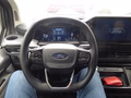 Daumennagel 8 - Ford Tourneo Custom Bus 320 L1 Titanium X FWD