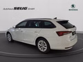 Daumennagel 9 - Skoda Octavia Combi 2.0 TDI DSG Selection, LED, PDC, ACC, Navi, AHK, ...
